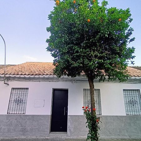コルドバ El Patio De La Alcaidesaヴィラ エクステリア 写真