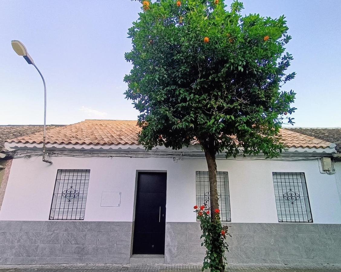 コルドバ El Patio De La Alcaidesaヴィラ エクステリア 写真